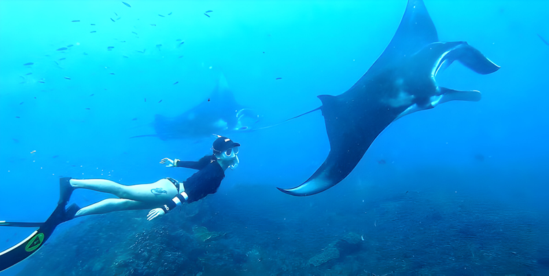 Nusa Penida Snorkeling